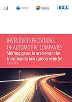 Investor Expectations Auto Report